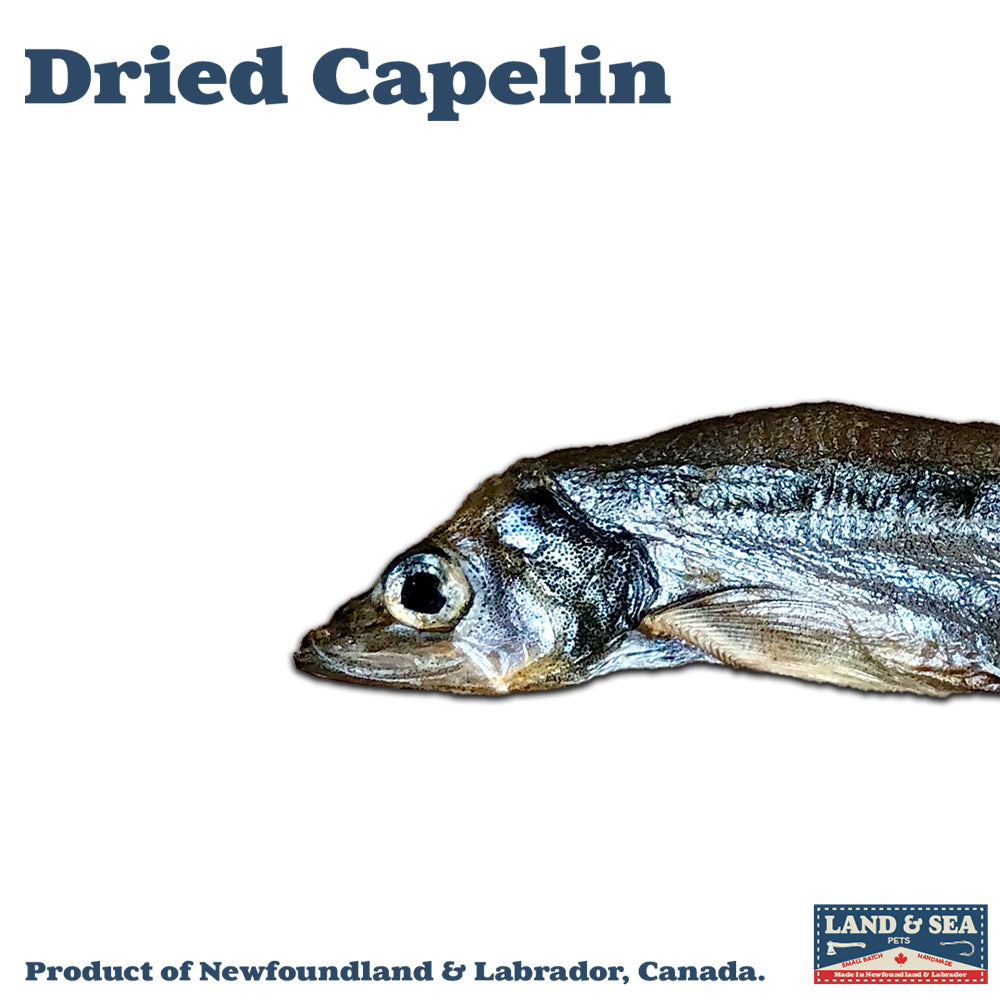 Canadian Capelin 100 Gram Limited Small Batch Zero-Plastic