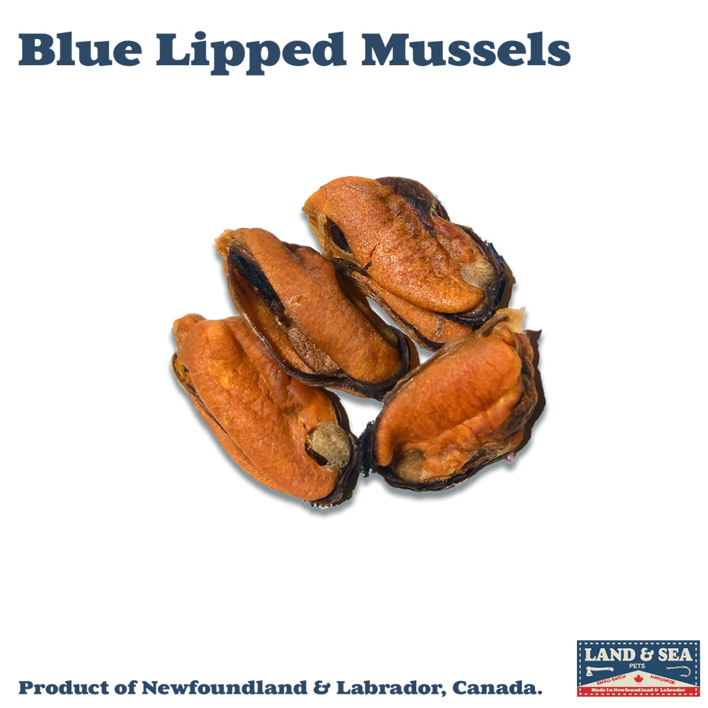 Blue Lipped Mussels 100 Grams Limited Small Batch Zero-Plastic