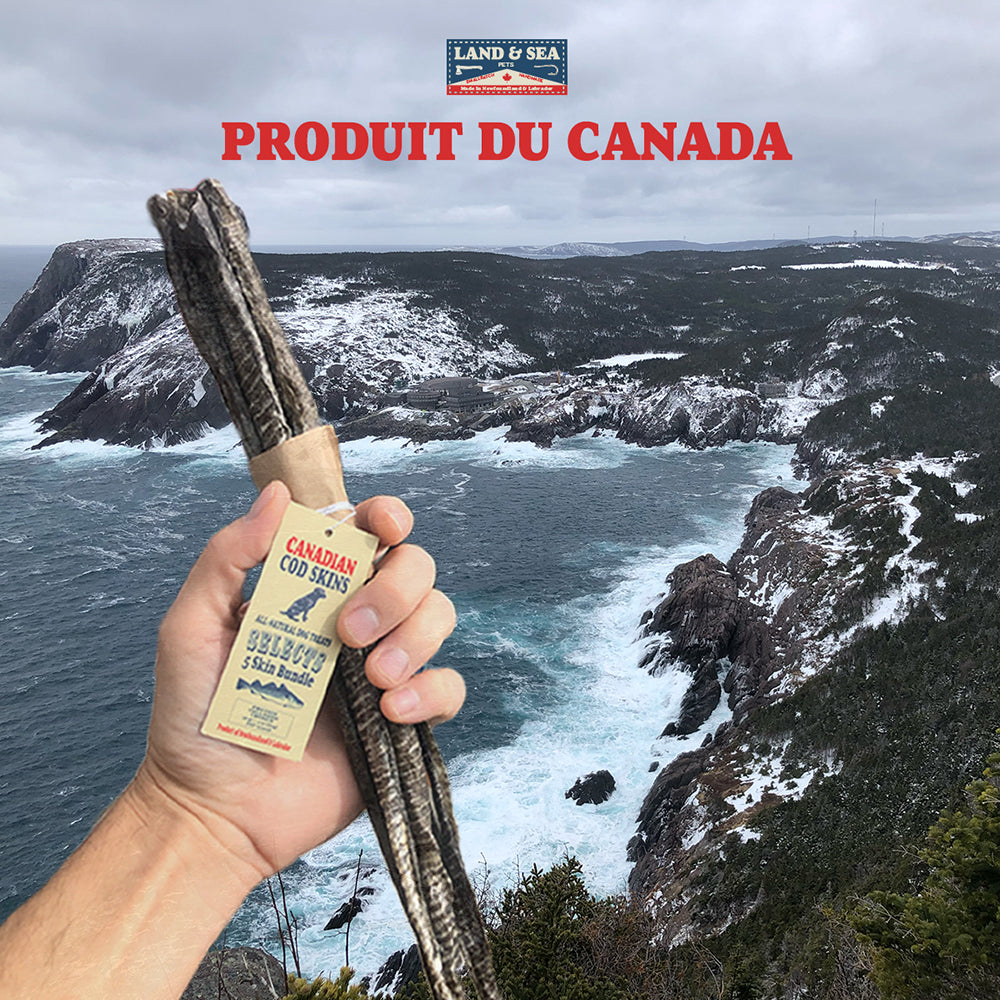 Land & Sea Pets 5 Skin Bundle