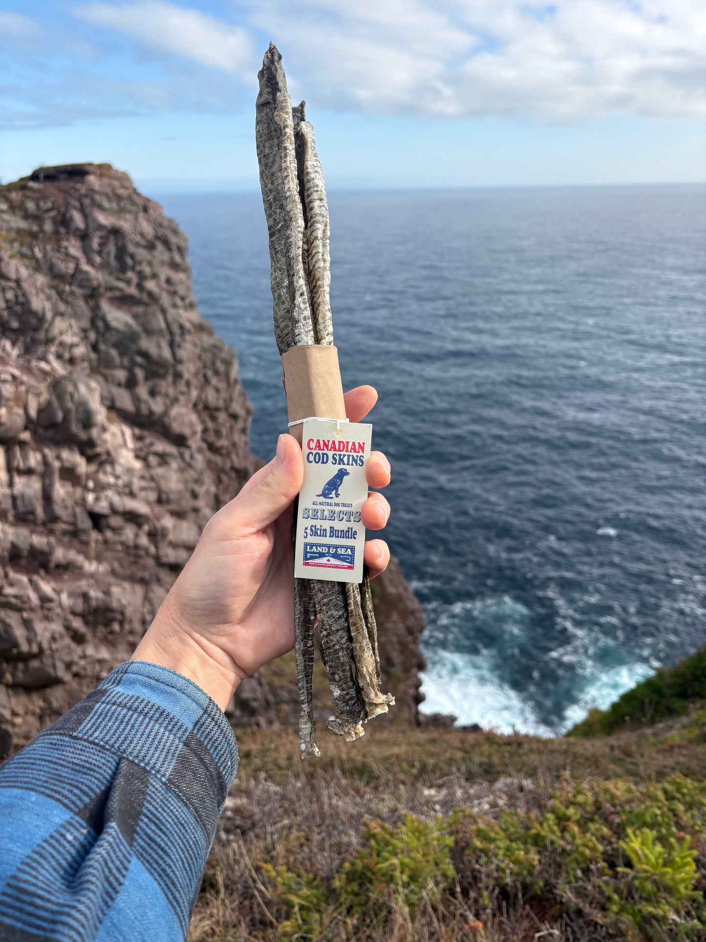 Land & Sea Pets 5 Skin Bundle