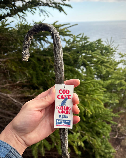 The Cod Cane