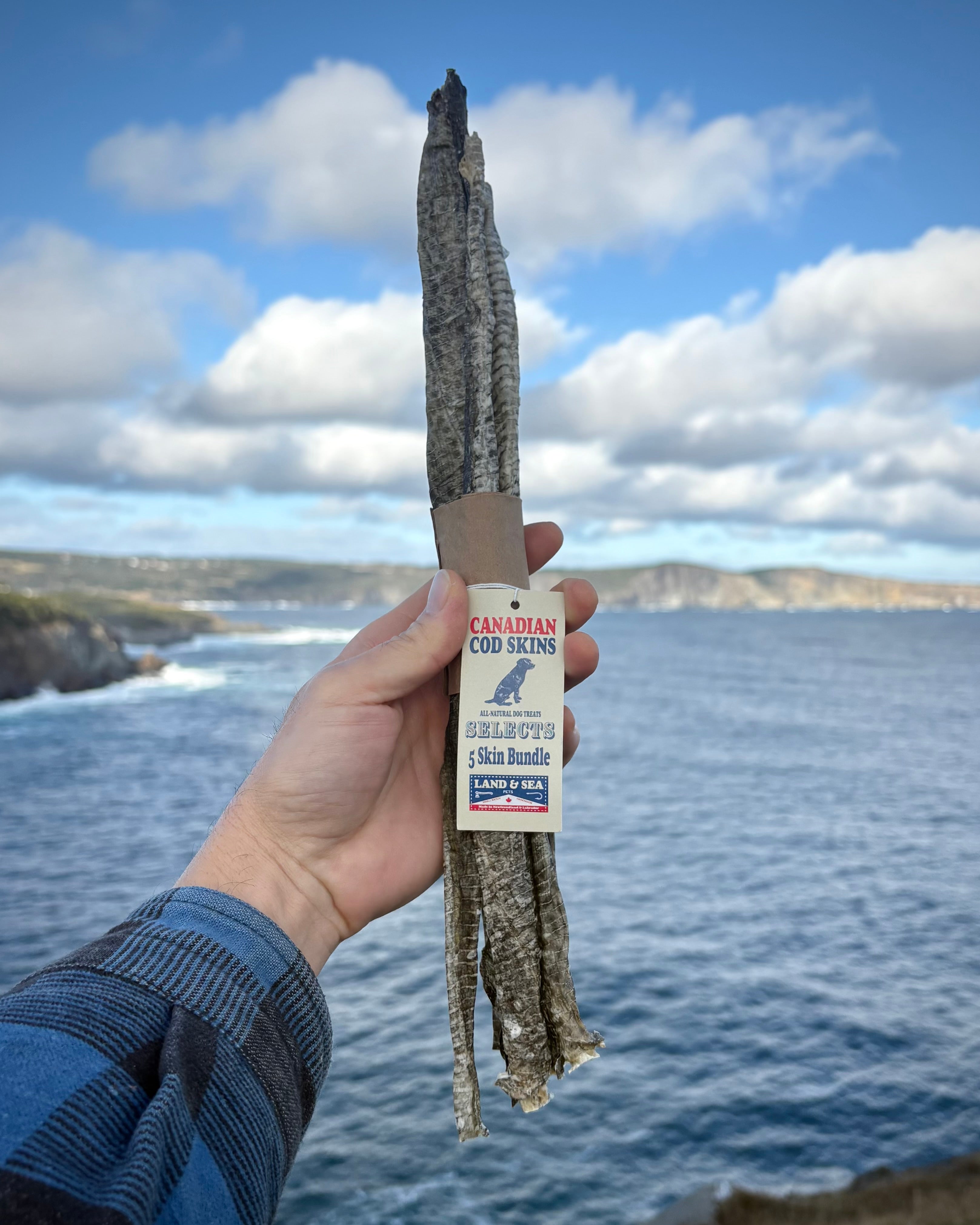 Land & Sea Cod Skin Pet Treats – Land & Sea Pets Inc.