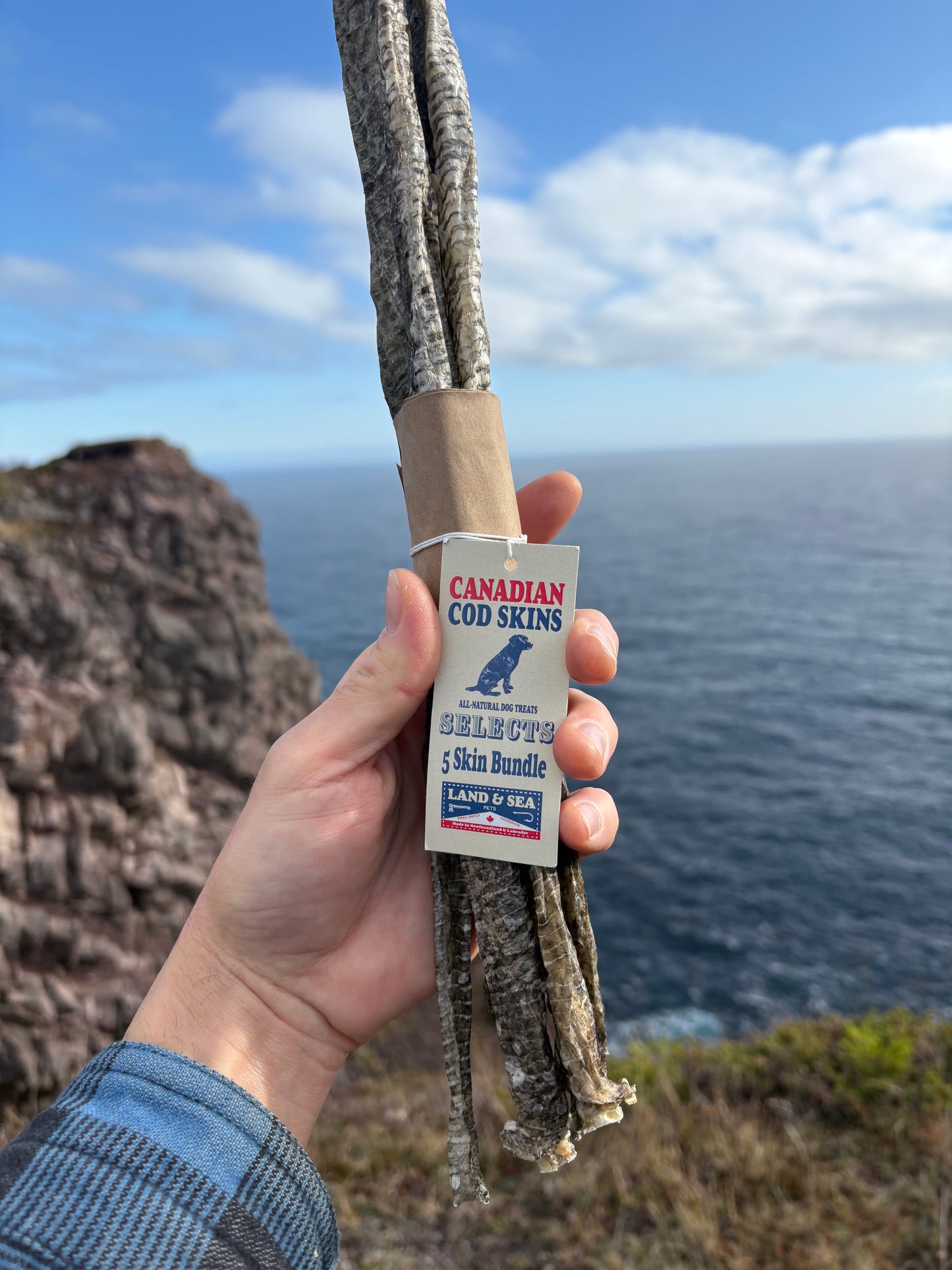 Land & Sea Pets 5 Skin Bundle