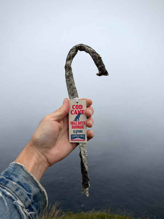 The Cod Cane